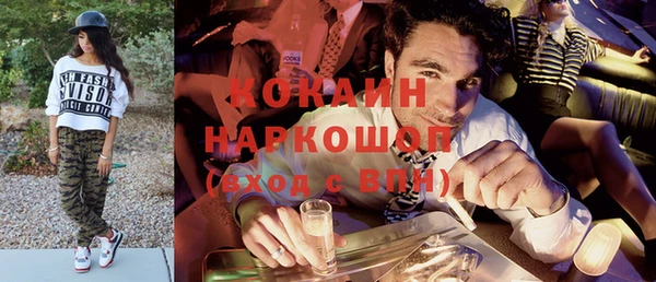 трава Новозыбков