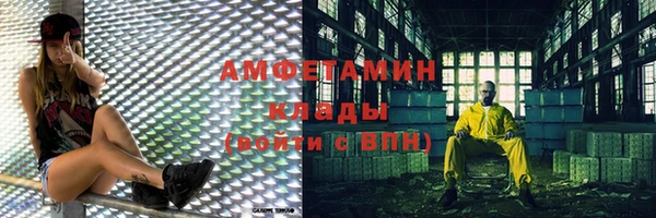 трава Новозыбков