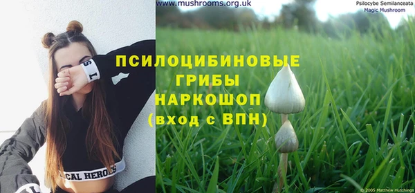mdma Новокубанск
