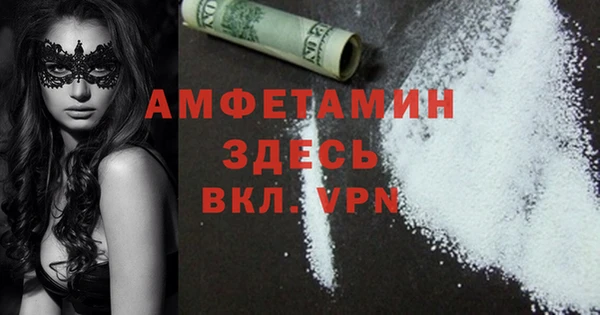 трава Новозыбков