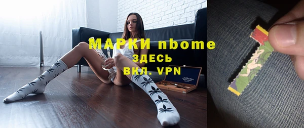 трава Новозыбков