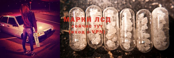 трава Новозыбков